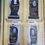 photo_2026-02-17 18.24.32