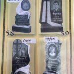 photo_2026-02-17 18.24.48