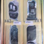 photo_2026-02-17 18.25.11